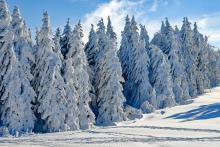wintry-2993370